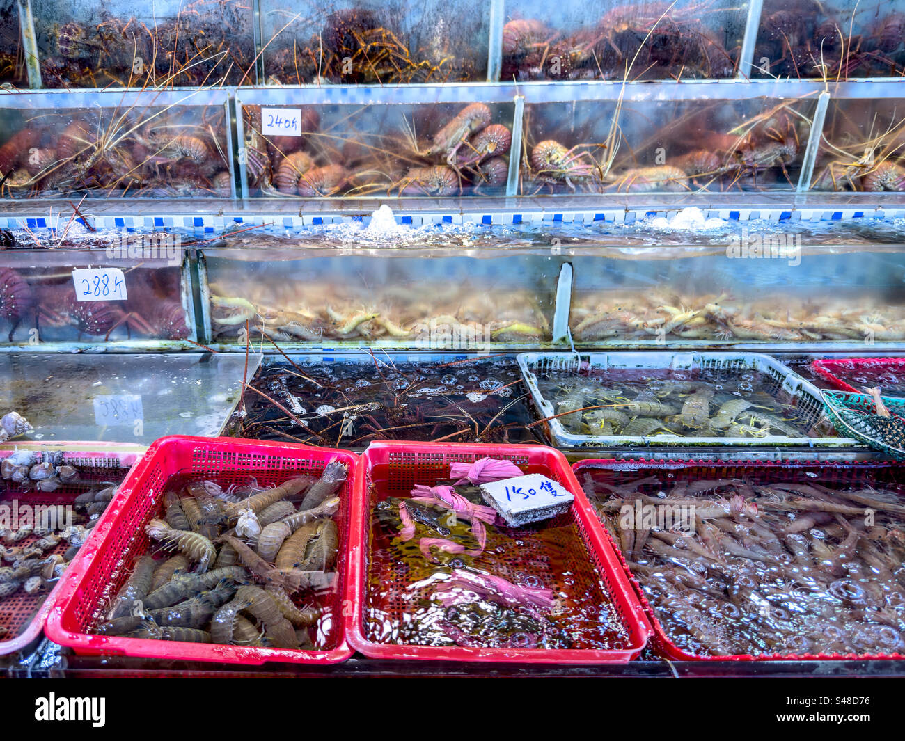 Mostra di pesce fresco del giorno nel quartiere Sai Kung di Hong Kong, noto per la sua pletora di ristoranti di pesce fresco Foto Stock