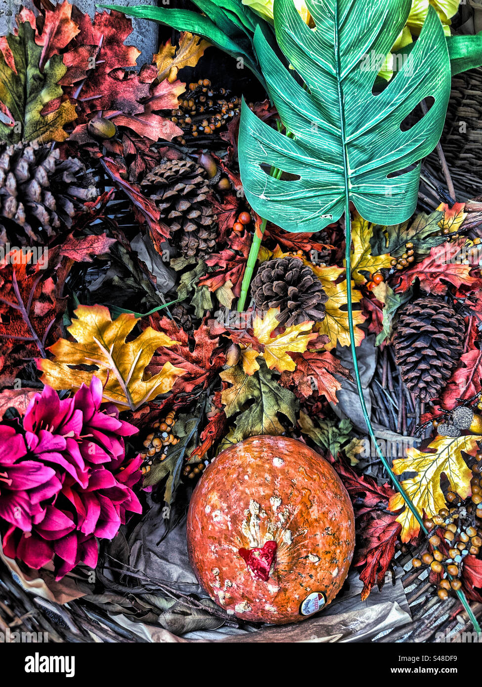 Colori autunnali - Immagine stock catturata con smartphone