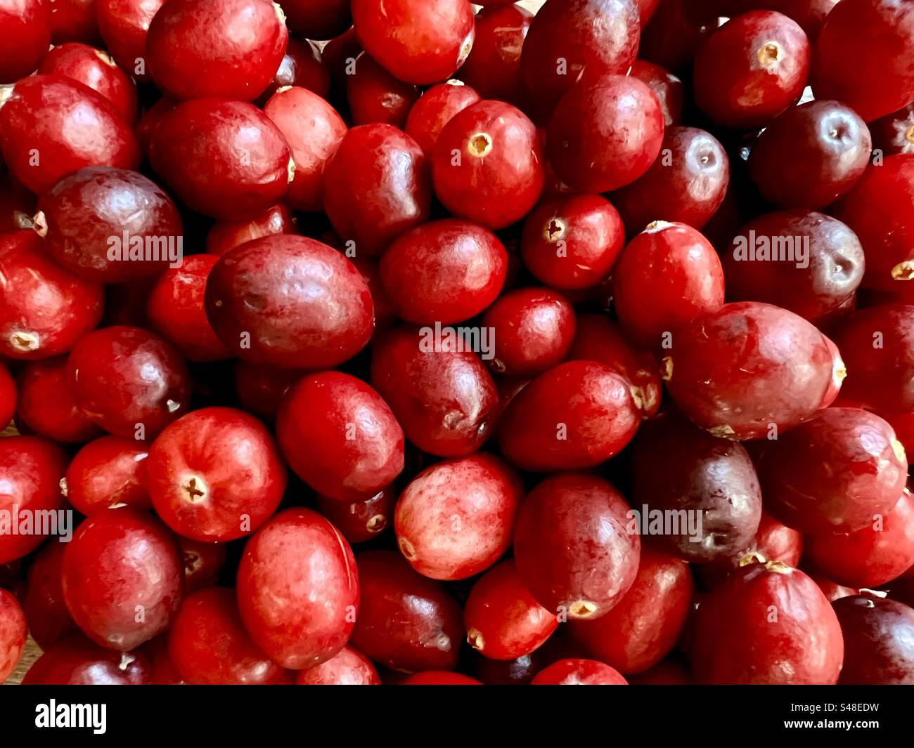 Telaio completo di una nuova gru Foto Stock