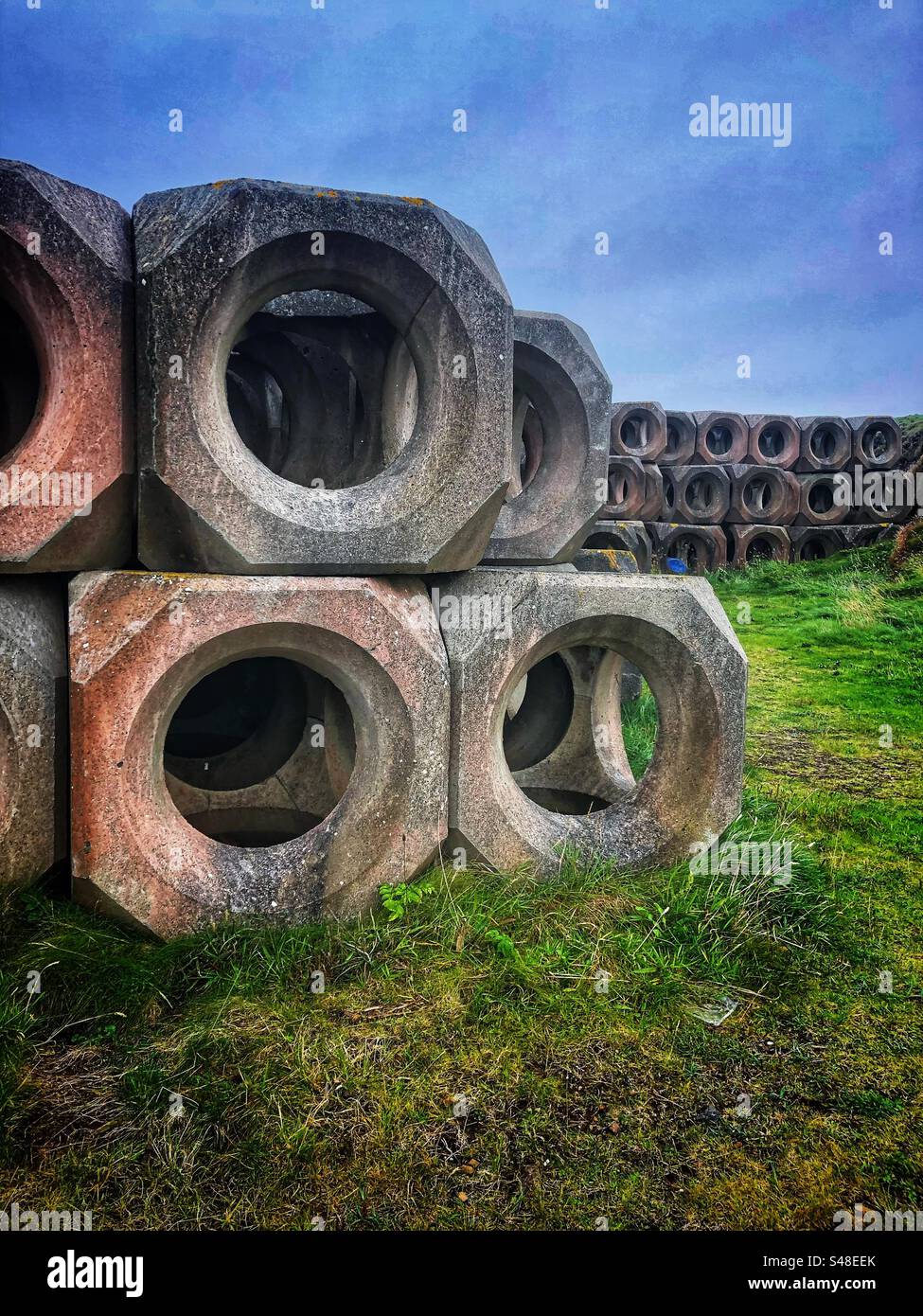 Difese marine delle isole Orcadi - Immagine stock catturata con smartphone