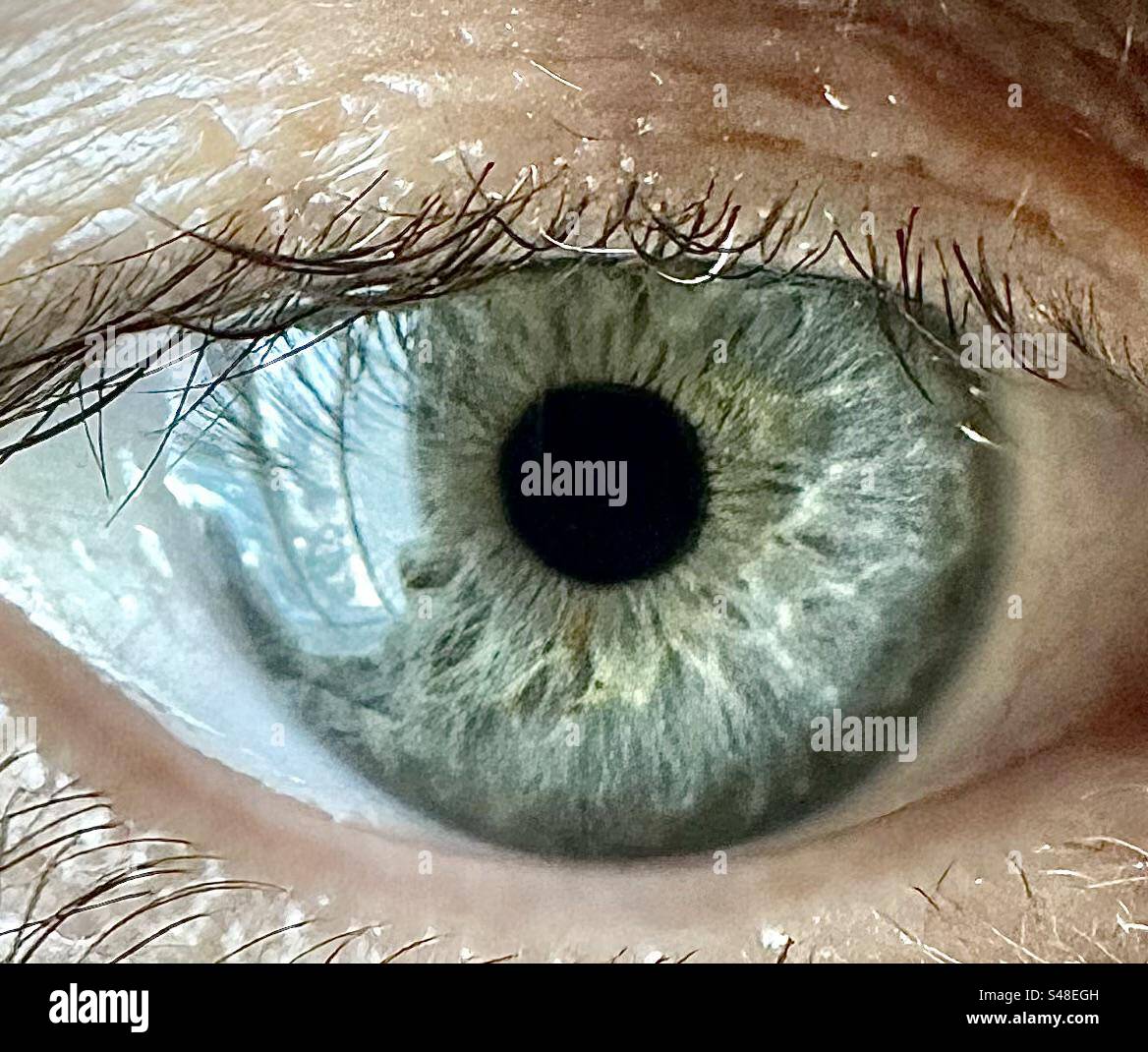 Close up di un occhio - Immagine stock catturata con smartphone