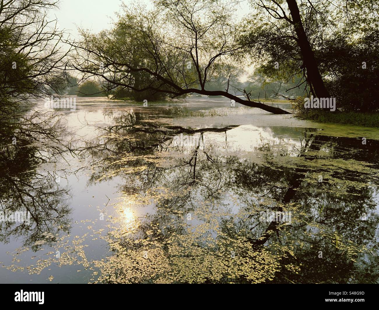 Splendido paesaggio con il riflesso del sole nel fiume - Immagine stock catturata con smartphone