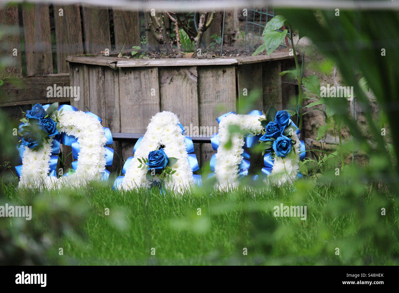 I fiori disposti del mio defunto padre. Un onore per lui. Posti meravigliosamente contro la rosa che ha piantato con il suo cane più caro e il suo migliore amico. Foto Stock