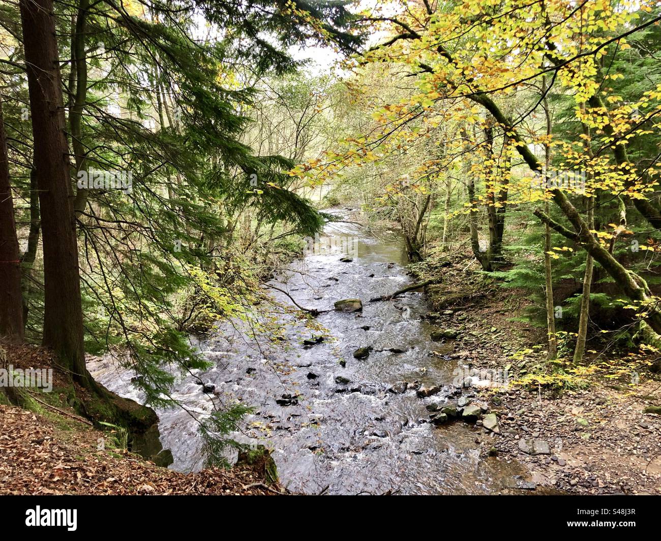 Paesaggio autunnale Foto Stock