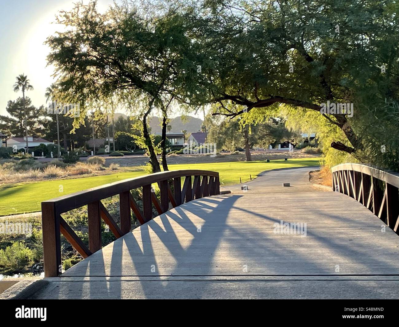 Ponte sul campo da golf Paradise Valley, Golden hour, verde vivace, retroilluminazione, lunghe ombre pomeridiane, rami di alberi ad arco, Scottsdale, Arizona Foto Stock