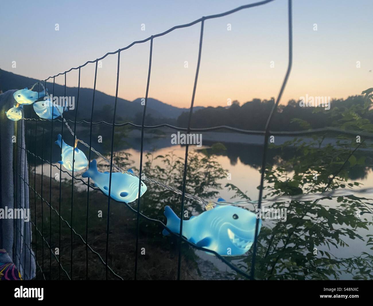 Le luci delle fate degli squali al fiume Foto Stock