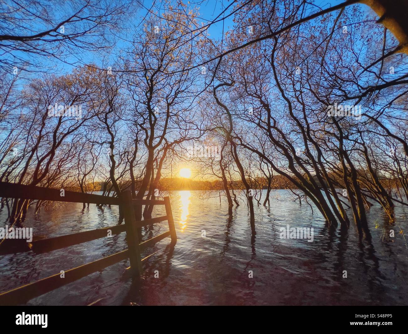 Alberi sommersi e recinzione nella luce del tardo pomeriggio al bacino idrico di Rivington vicino a Chorley nel Lancashire Foto Stock