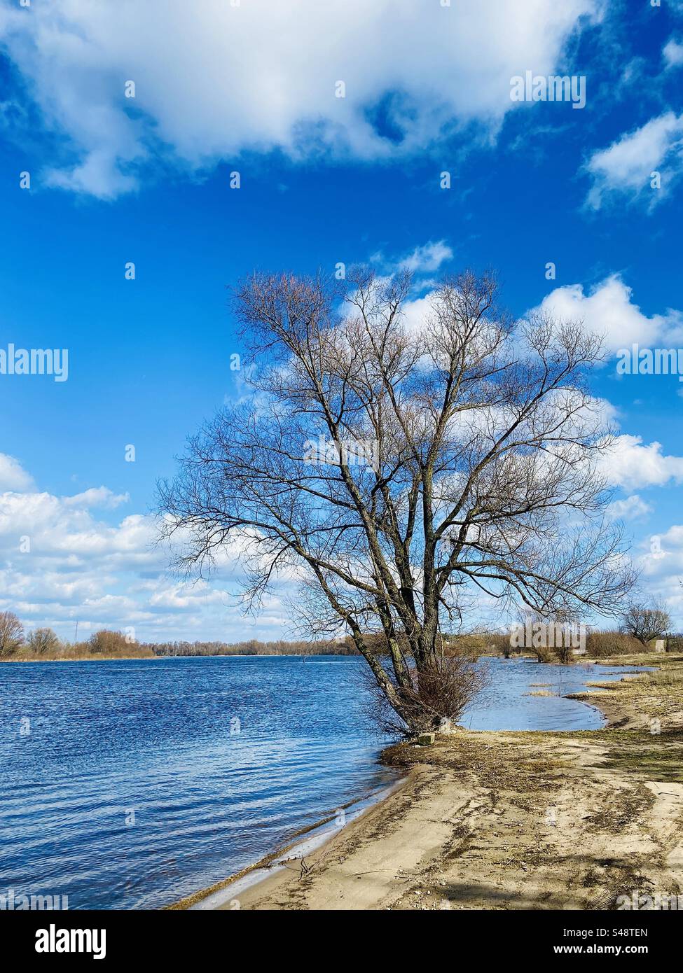 Fiume Narew in Polonia Foto Stock