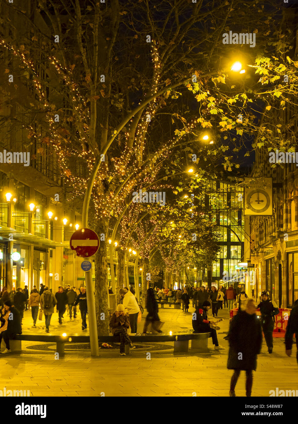 Mercatino di Natale sulla Hayes nel centro di Cardiff: Phillip Roberts Foto Stock