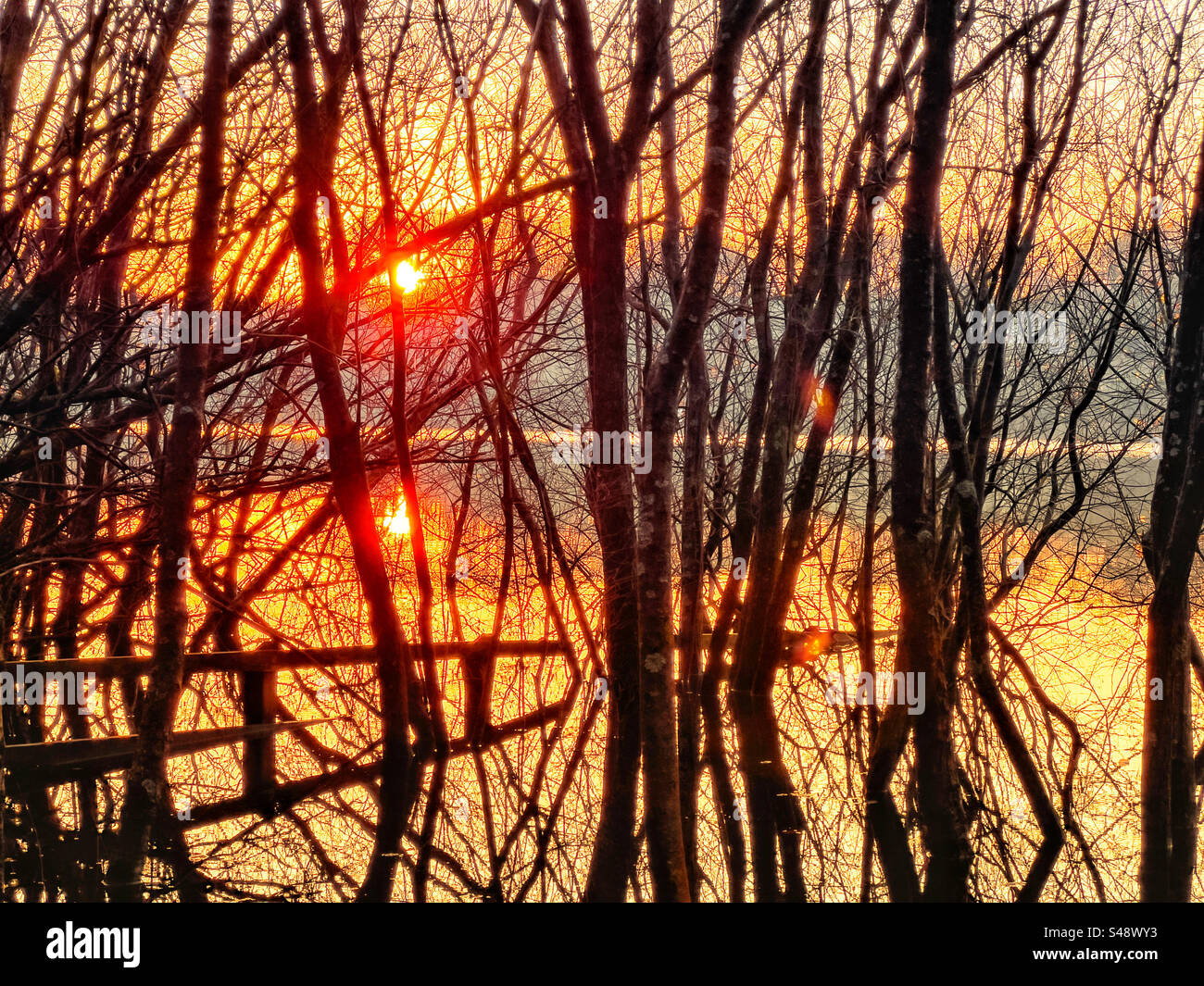 Tramonto a Rivington vicino a Chorley nel Lancashire. Alberi semi sommersi e recinzione si riflettono nel bacino idrico di Rivington con il sole che tramonta dopo una soleggiata giornata invernale. Foto Stock