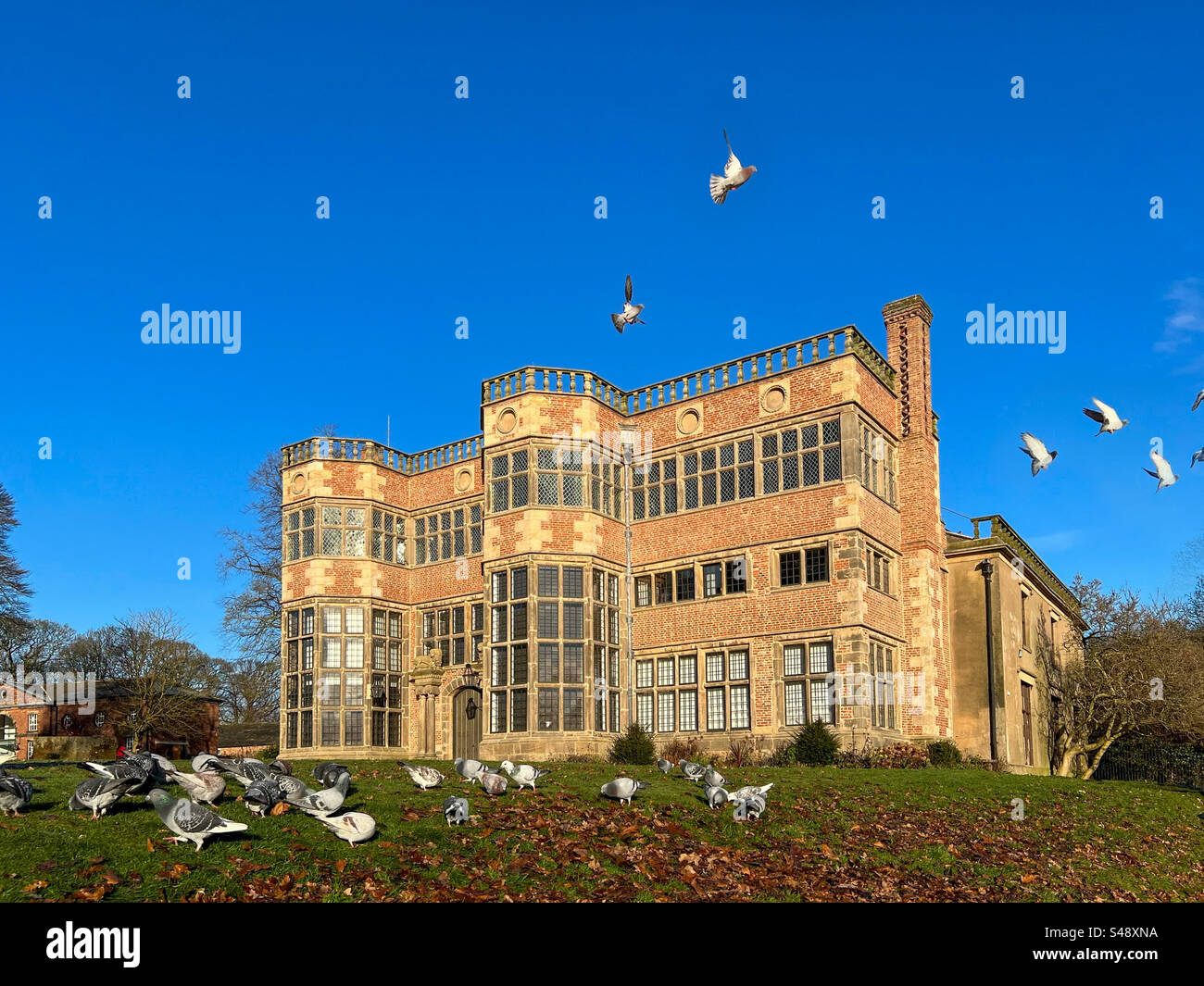 Piccioni di fronte ad Astley Hall, a Chorley Park. Soleggiata mattina d'inverno con un cielo azzurro. - Immagine stock catturata con smartphone