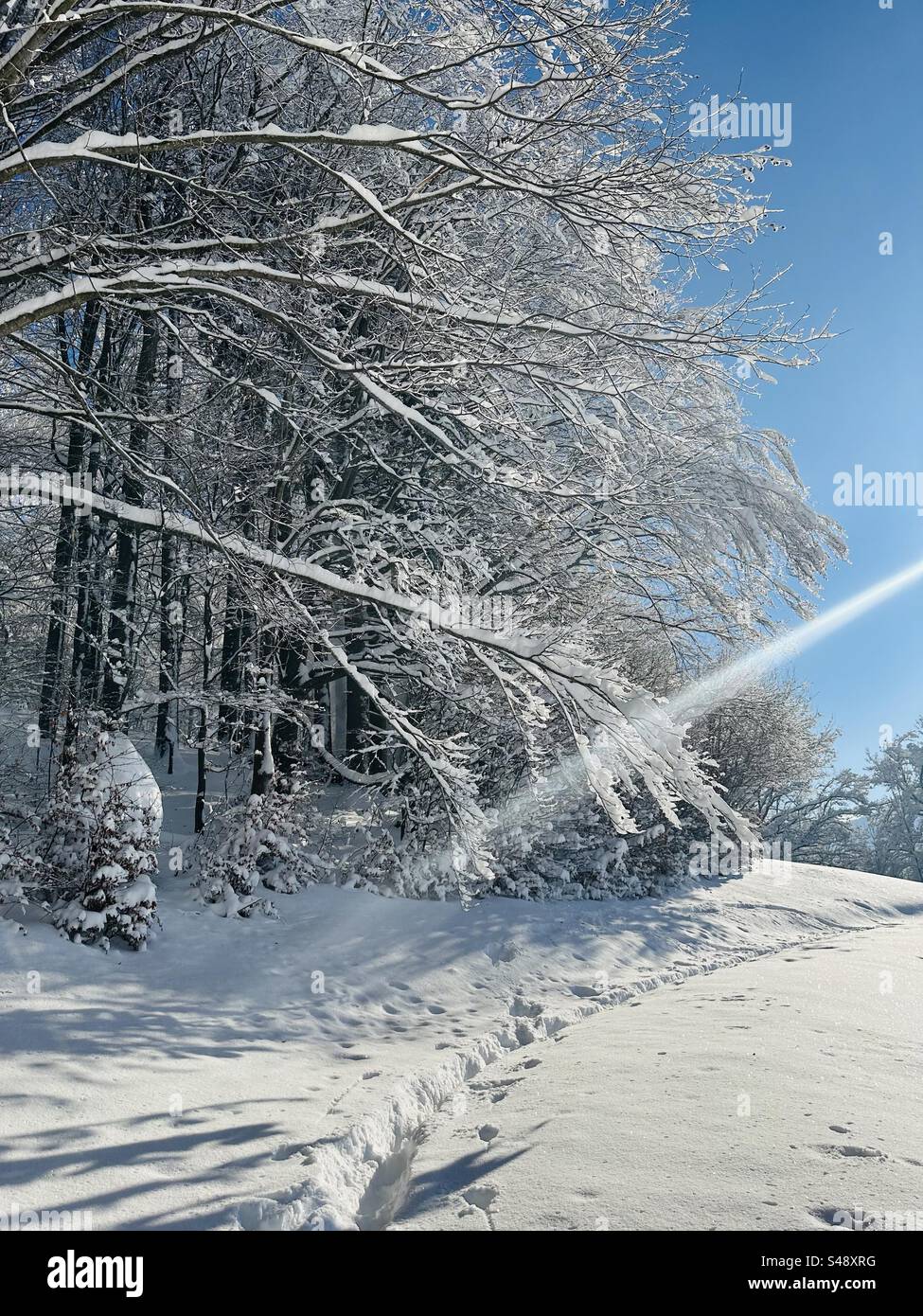 Neve, Schnee, natura, Inverno, Germania Foto Stock