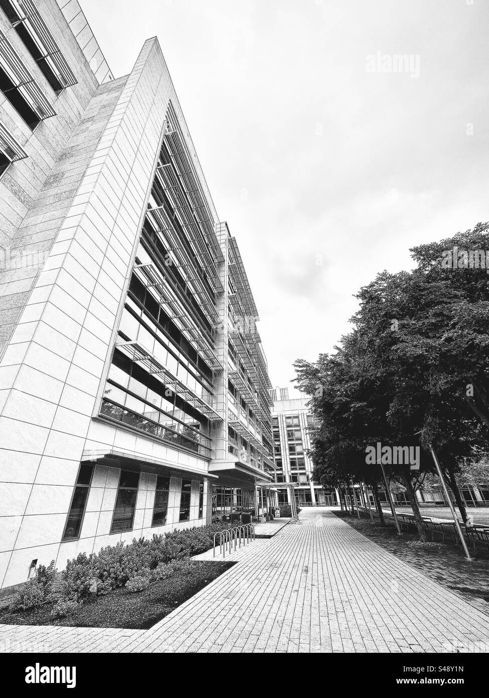 Cambridge, Massachusetts, USA: Foto in bianco e nero del campus del Massachusetts Institute of Technology (MIT). Edificio moderno su un lato, marciapiede piastrellato nel mezzo, alberi sull'altro lato. - Immagine stock catturata con smartphone