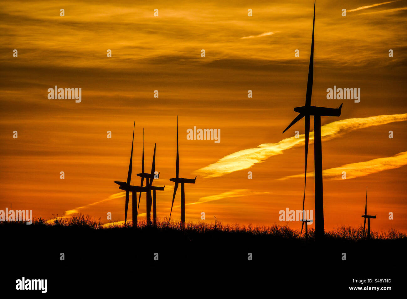 Whitelee Windfarm in Scozia all'alba d'inverno Foto Stock