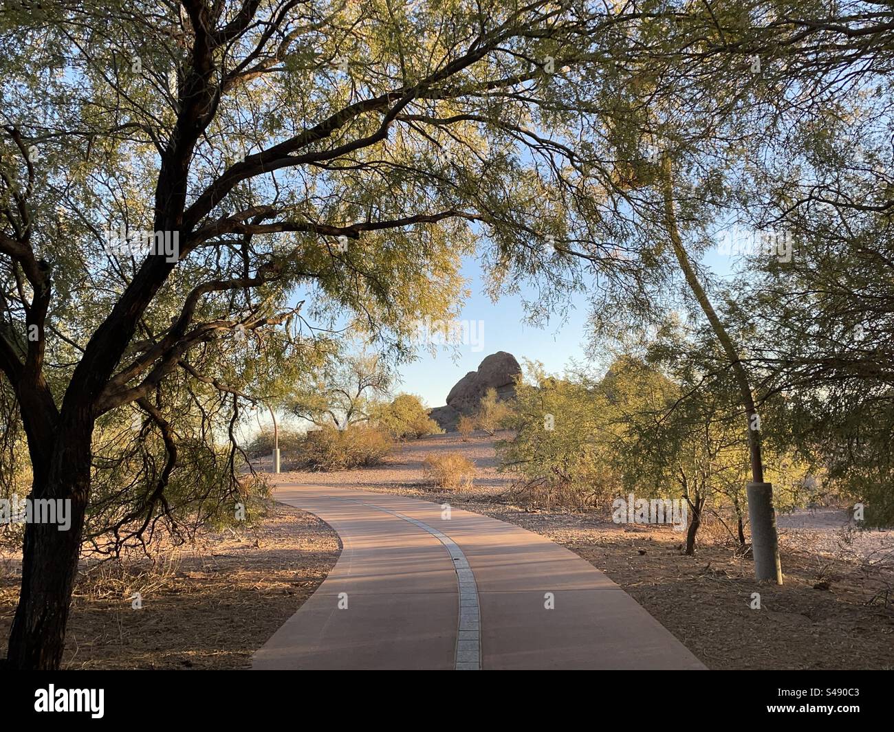 Percorso ciclabile Papago Park, affioramenti di montagna nel deserto, incorniciati da alberi palo verde, Phoenix, Arizona Foto Stock