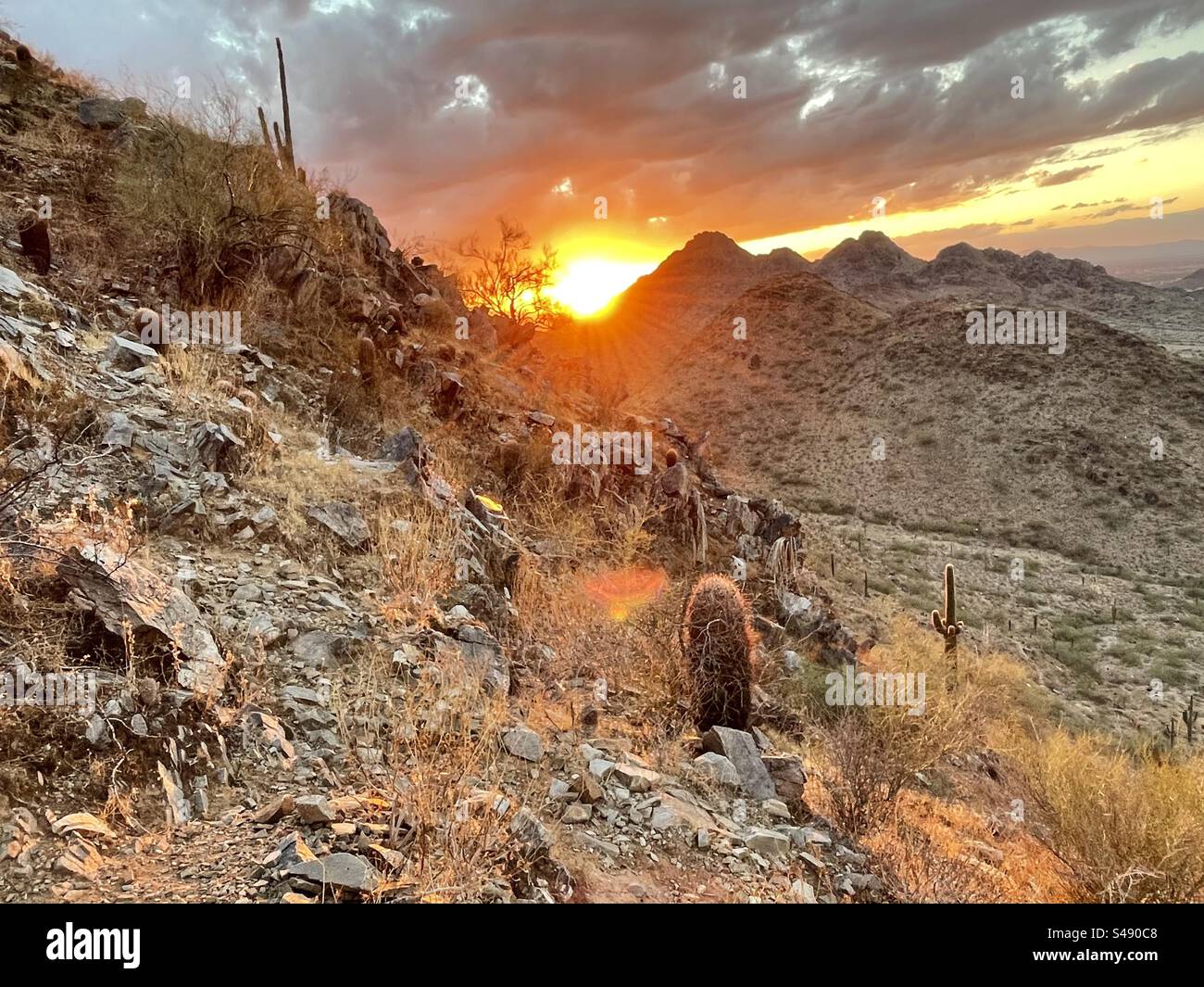 Phoenix Mountains Preserve, tramonto, deserto di Sonora, Arizona Foto Stock
