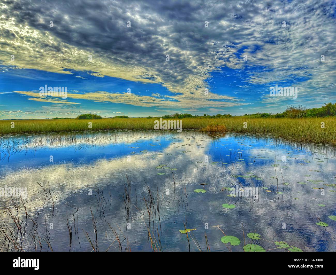 Vista panoramica delle Everglades in Florida, Stati Uniti, con il paesaggio nuvoloso riflesso nell'acqua ferma - Immagine stock catturata con smartphone