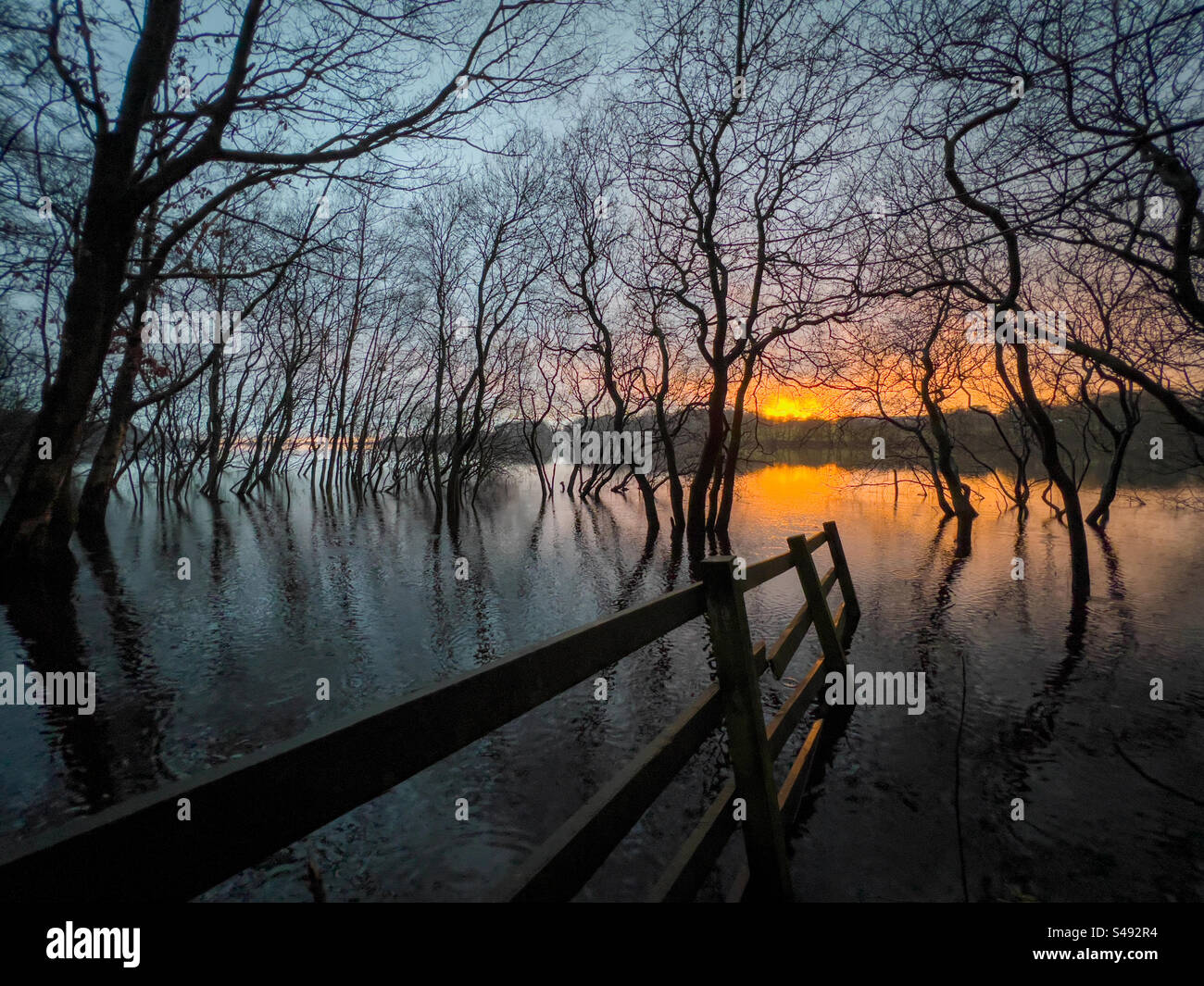 Alberi semi sommersi e recinzione rotta sul bordo del bacino idrico di Rivington al tramonto. Riflesso degli alberi nell'acqua in corso d'acqua. Foto Stock