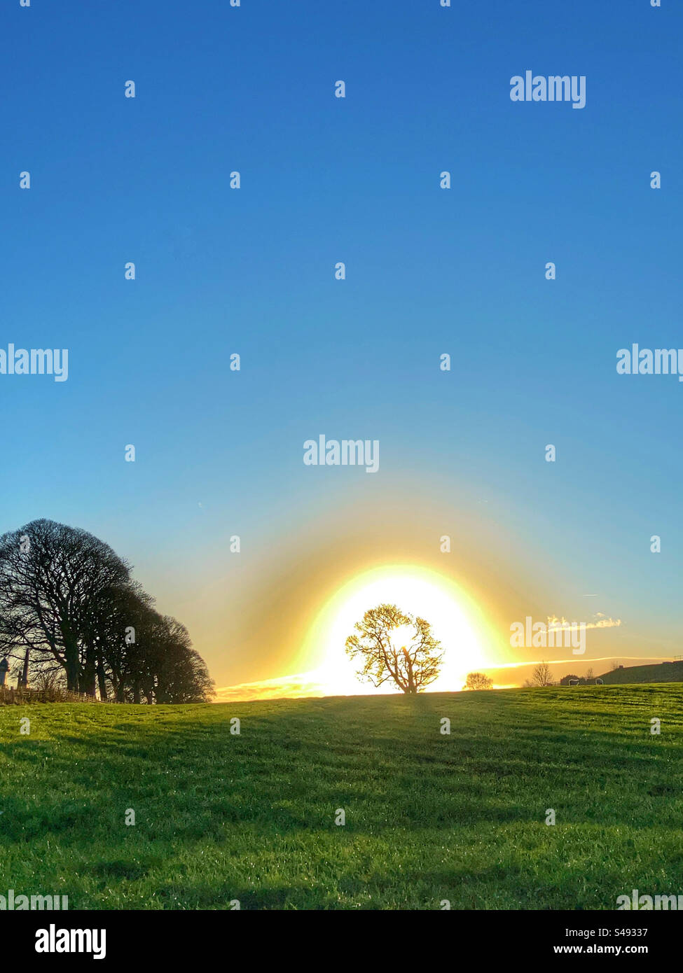 Tramonto dietro un albero a Yeadon West Yorkshire - Immagine stock catturata con smartphone