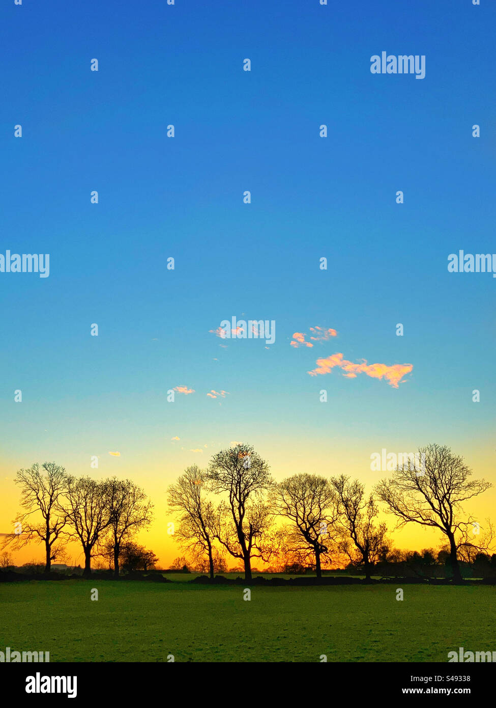 Tramonto dietro gli alberi a Guiseley, West Yorkshire - Immagine stock catturata con smartphone