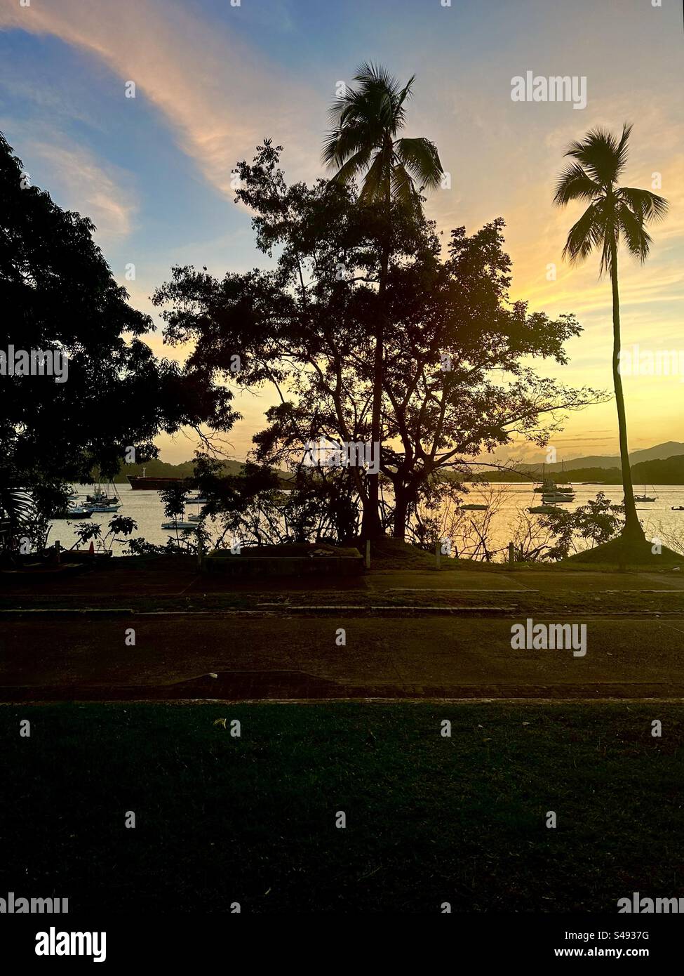 Ingresso Pacifico al canale di Panama. Nave dietro gli alberi al tramonto. Vista dal Radisson Hotel panama Canal. Foto Stock
