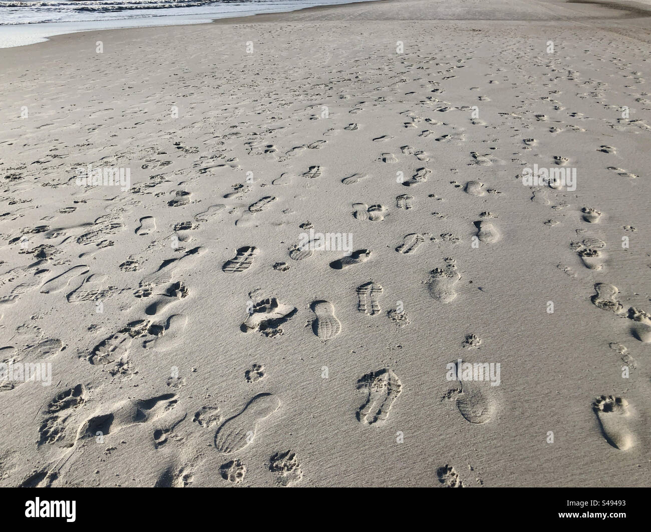 Molte impronte e impronte di zampe nella sabbia di Atlantic Beach, Florida, USA. Foto Stock