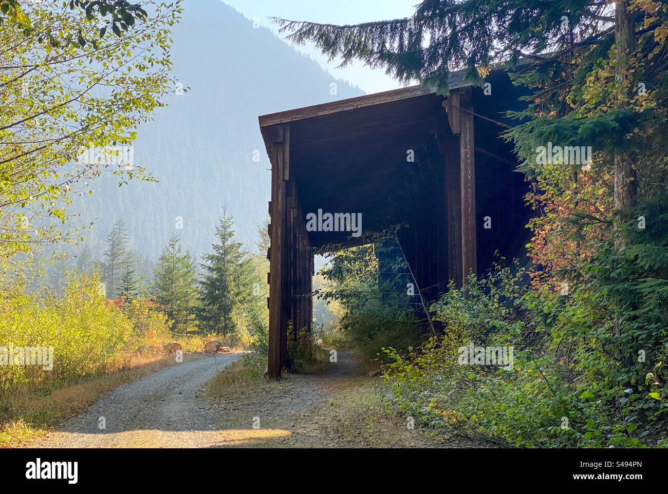 Rifugio a valanga lungo una pista ciclabile riconvertita ai piedi della catena montuosa Cascade nello stato di Washington. Sentiero dei cavalli di ferro Foto Stock
