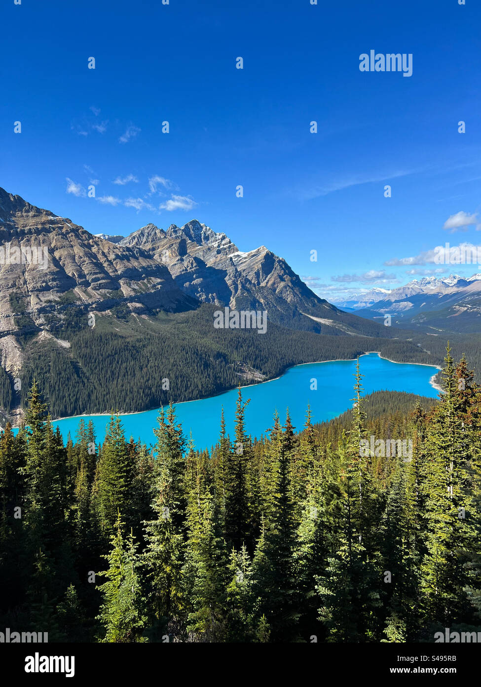 lago peyto, parco nazionale di banff Foto Stock