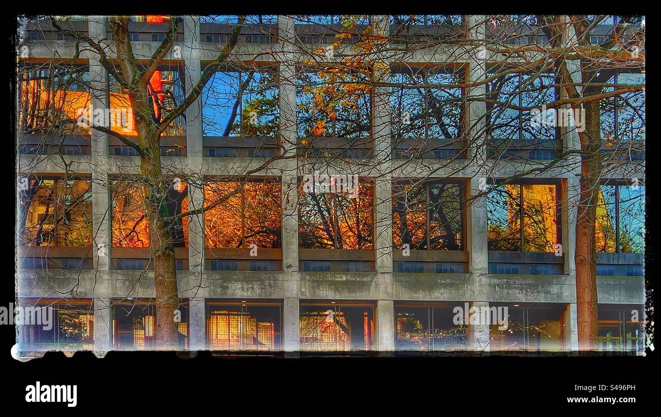 Edificio in vetro che riflette la città, il sole e gli alberi d'autunno in ciascuno dei 28 pannelli di vetro. Foto Stock