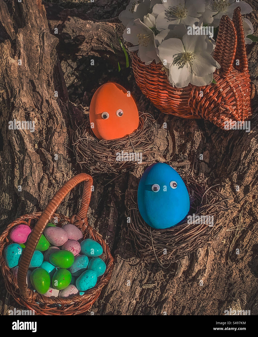 Uova di Pasqua in nidi e cestino su cesto di alberi, con fiori - Immagine stock catturata con smartphone