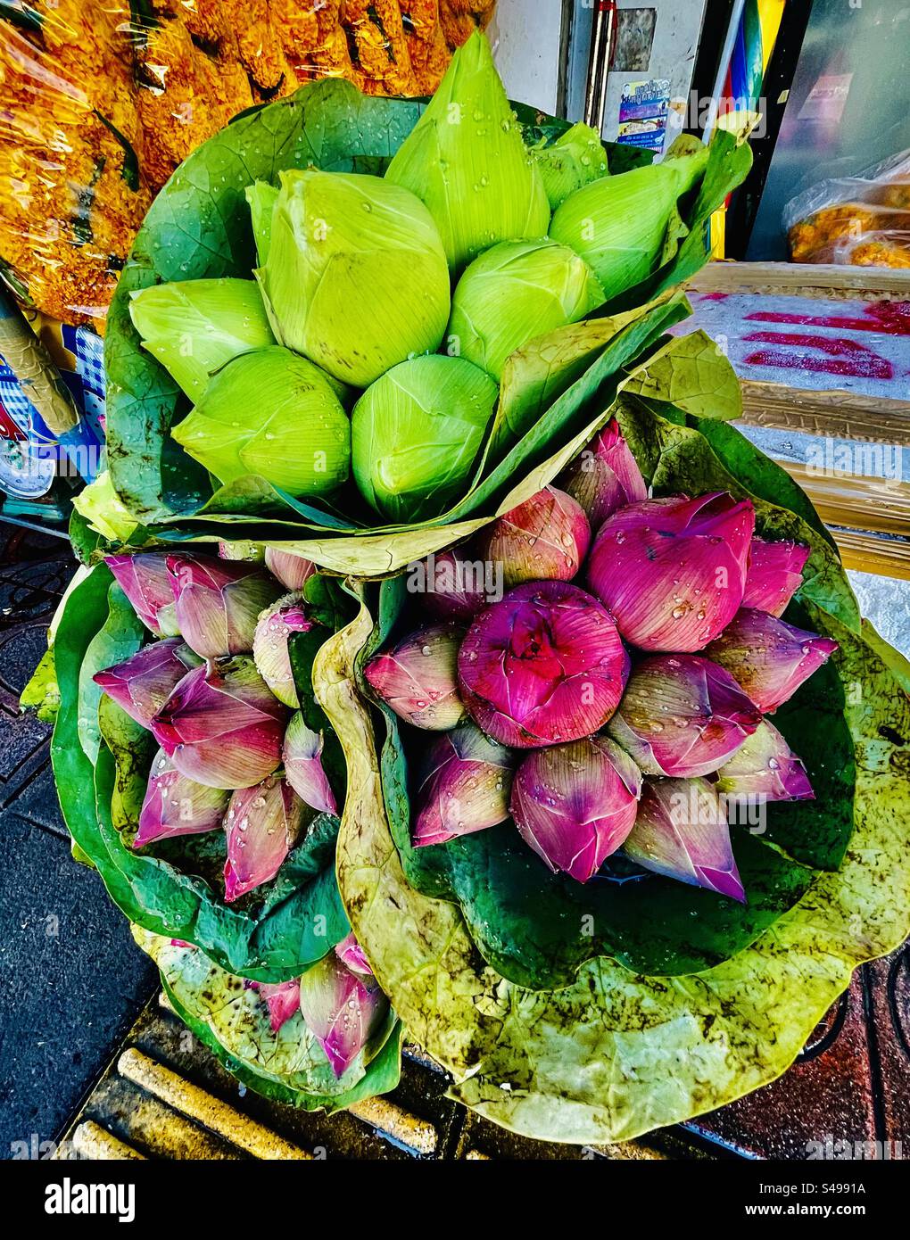 Fiori di loto in vendita al colorato mercato dei fiori di Pak Khlong Talat a Bangkok. Foto Stock