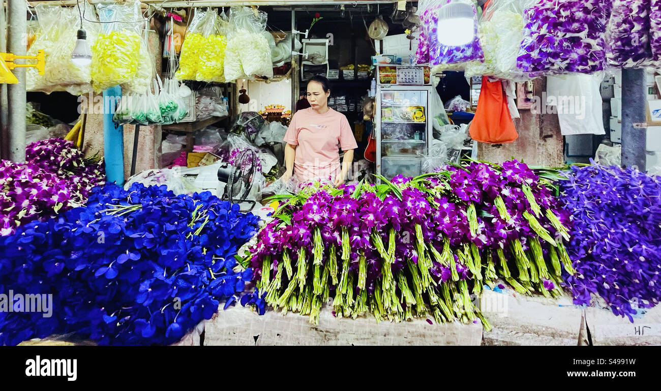 Orchidee tailandesi esposte da un venditore al mercato dei fiori di Pak Khlong Talat a Bangkok. Foto Stock