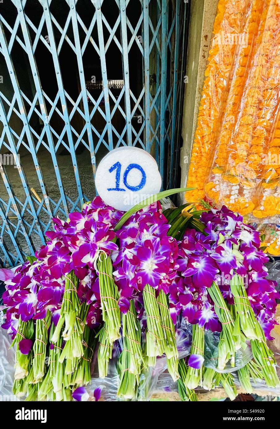 Orchidee tailandesi esposte al mercato dei fiori di Pak Khlong Talat a Bangkok. Foto Stock