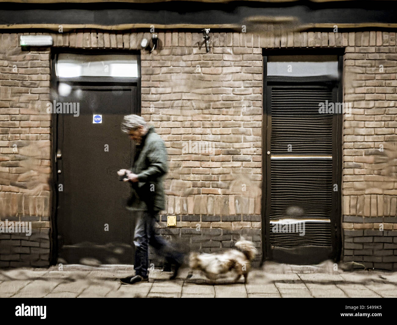 Un uomo e il suo cane hanno fotografato attraverso un parabrezza imbevuto di pioggia Foto Stock