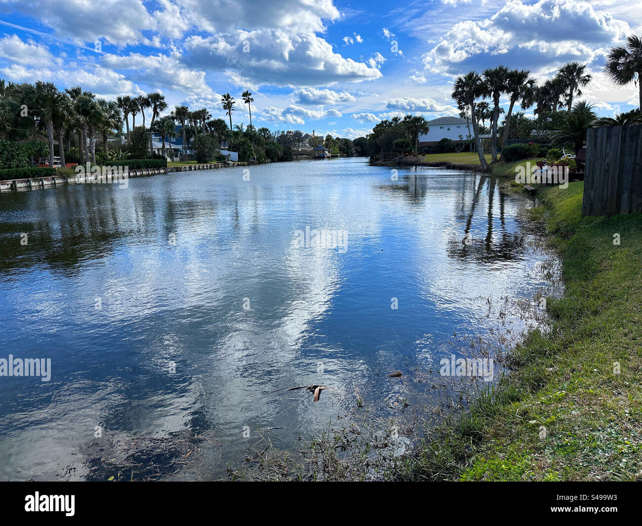 Riflessi nell'acqua di un piccolo lago a Jacksonville Beach, Florida, USA. - Immagine stock catturata con smartphone