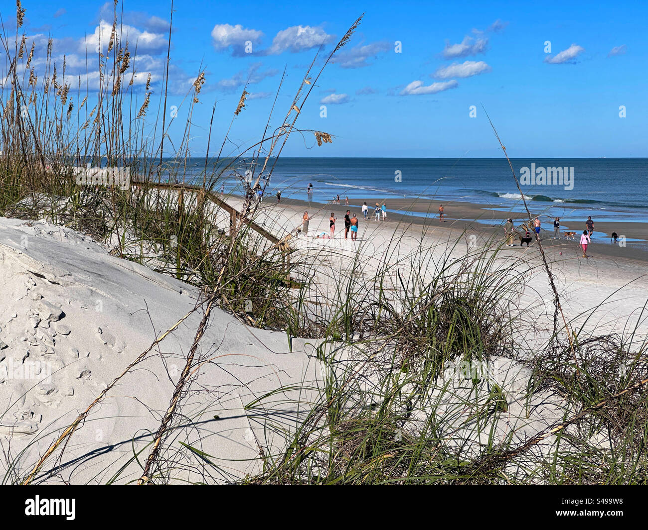 La spiaggia attraverso le dune di sabbia di Jacksonville Beach, Florida, USA. - Immagine stock catturata con smartphone