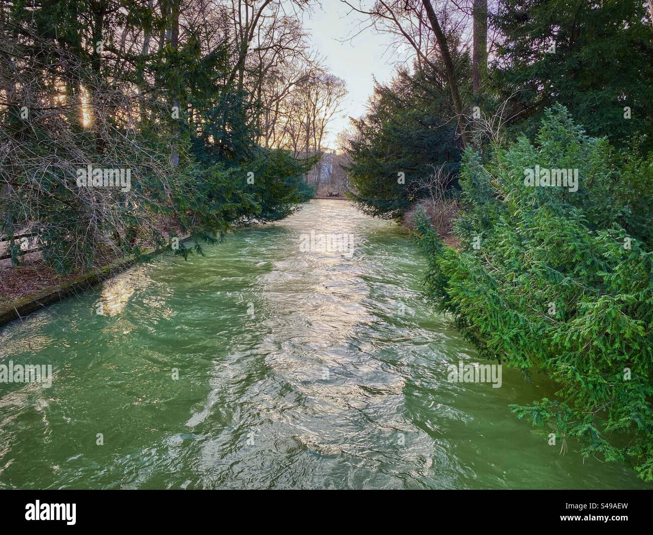 Fiume di colore verde che scorre tra i pini nel Giardino inglese di Monaco. Foto Stock