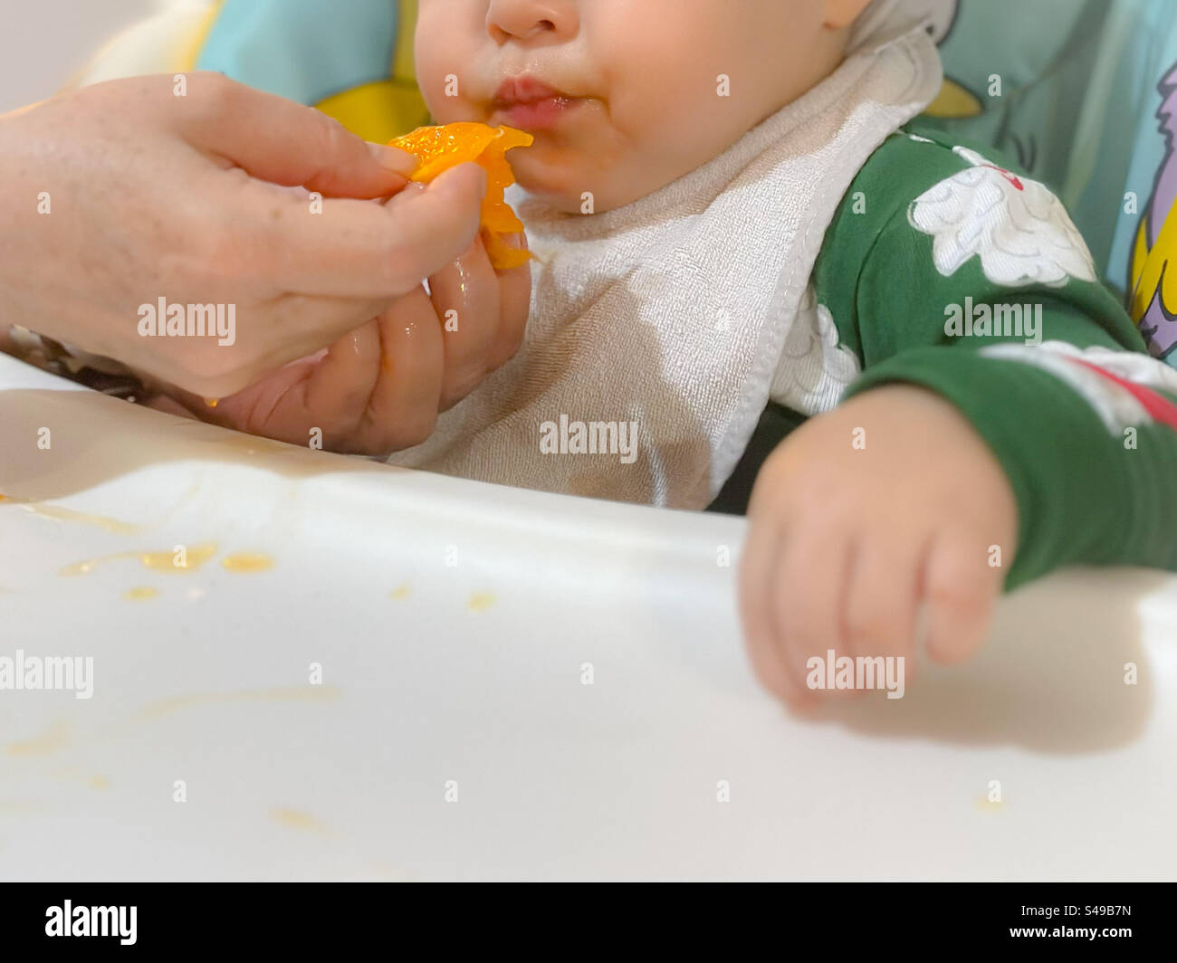 Al bambino viene offerto il mandarino per la prima volta - Immagine stock catturata con smartphone