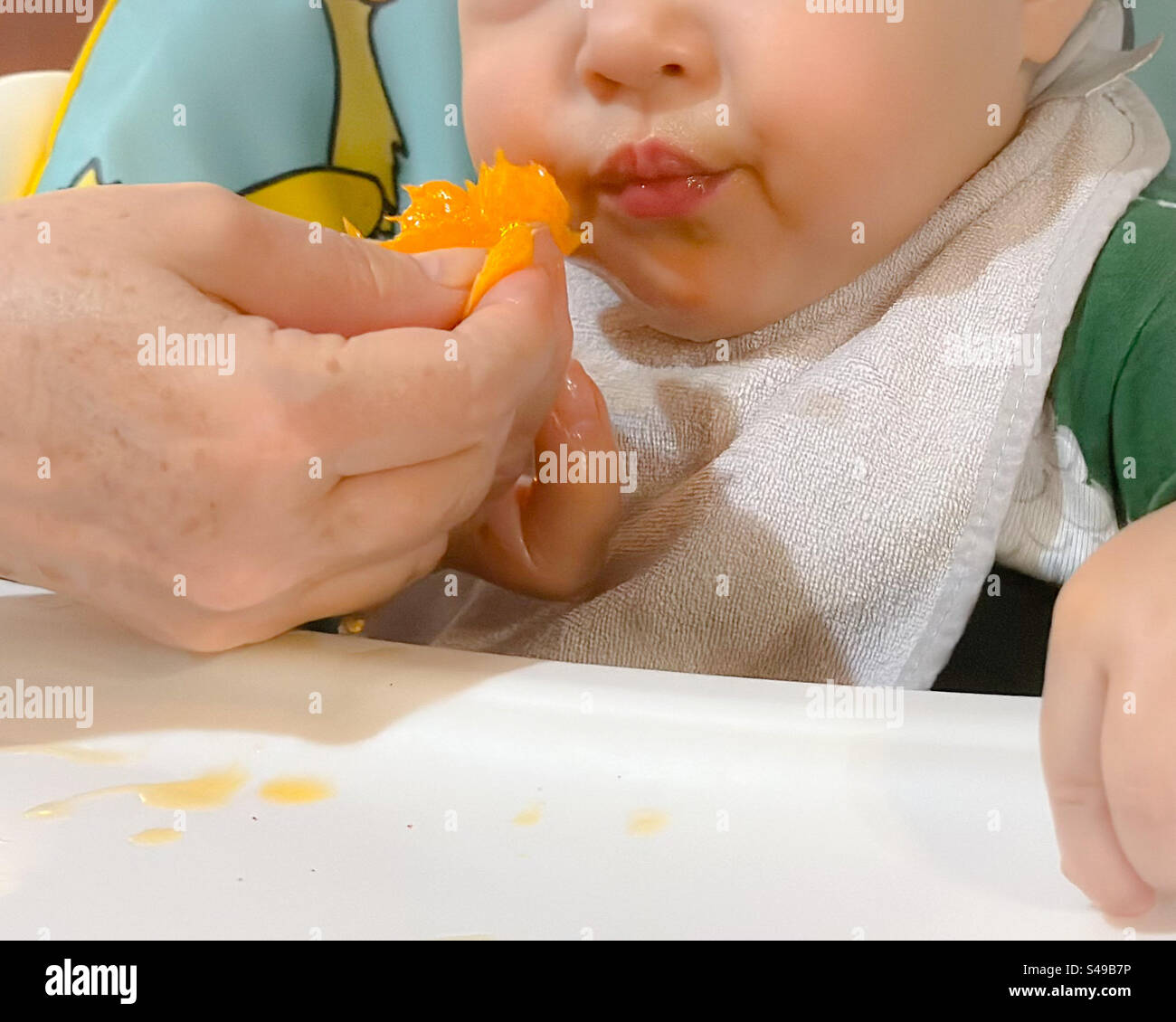 Al bambino viene offerto il mandarino per la prima volta. Primo piano - Immagine stock catturata con smartphone