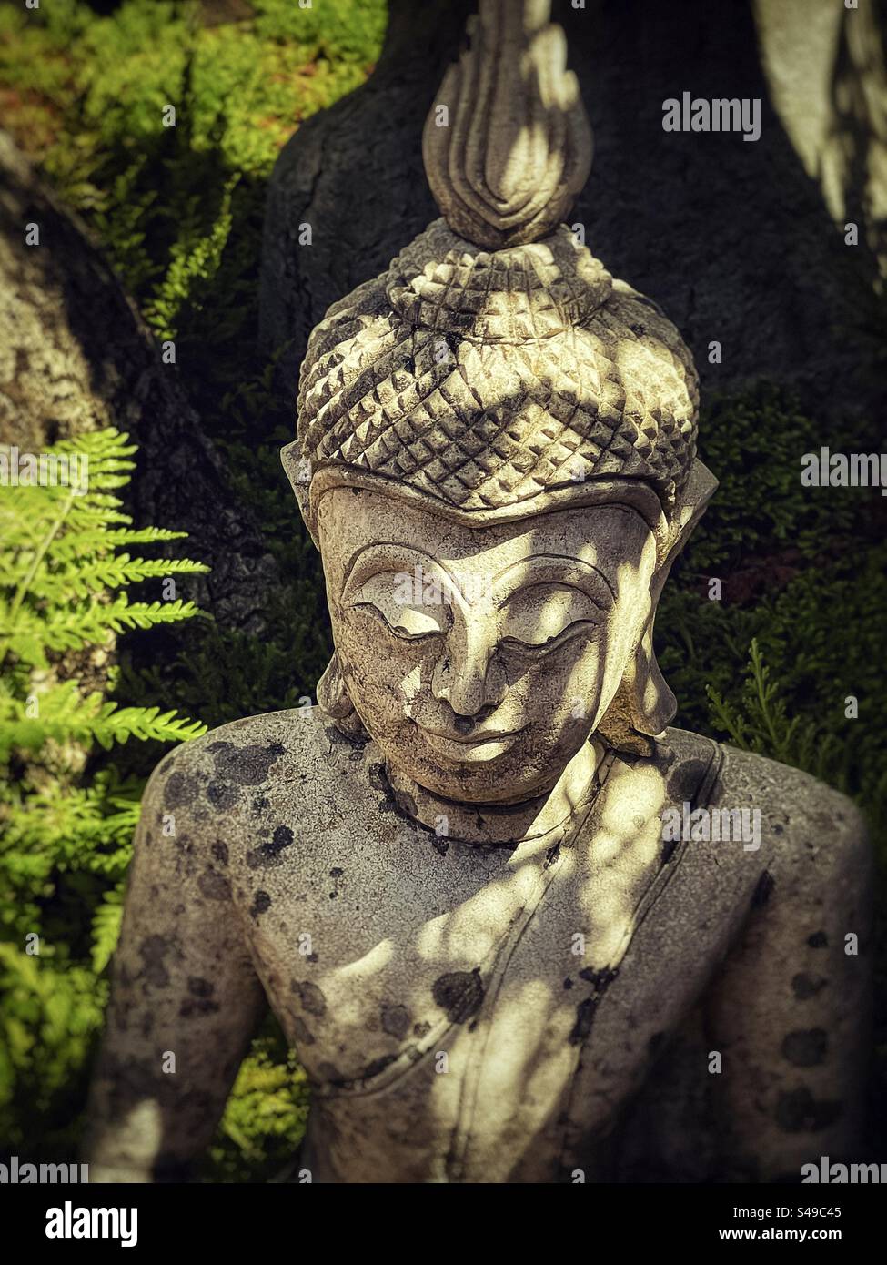Primo piano della statua di Buddha meditata all'ombra di un albero in un giardino all'ombra e alla luce del sole. Giardino Zen. Tranquillità. - Immagine stock catturata con smartphone