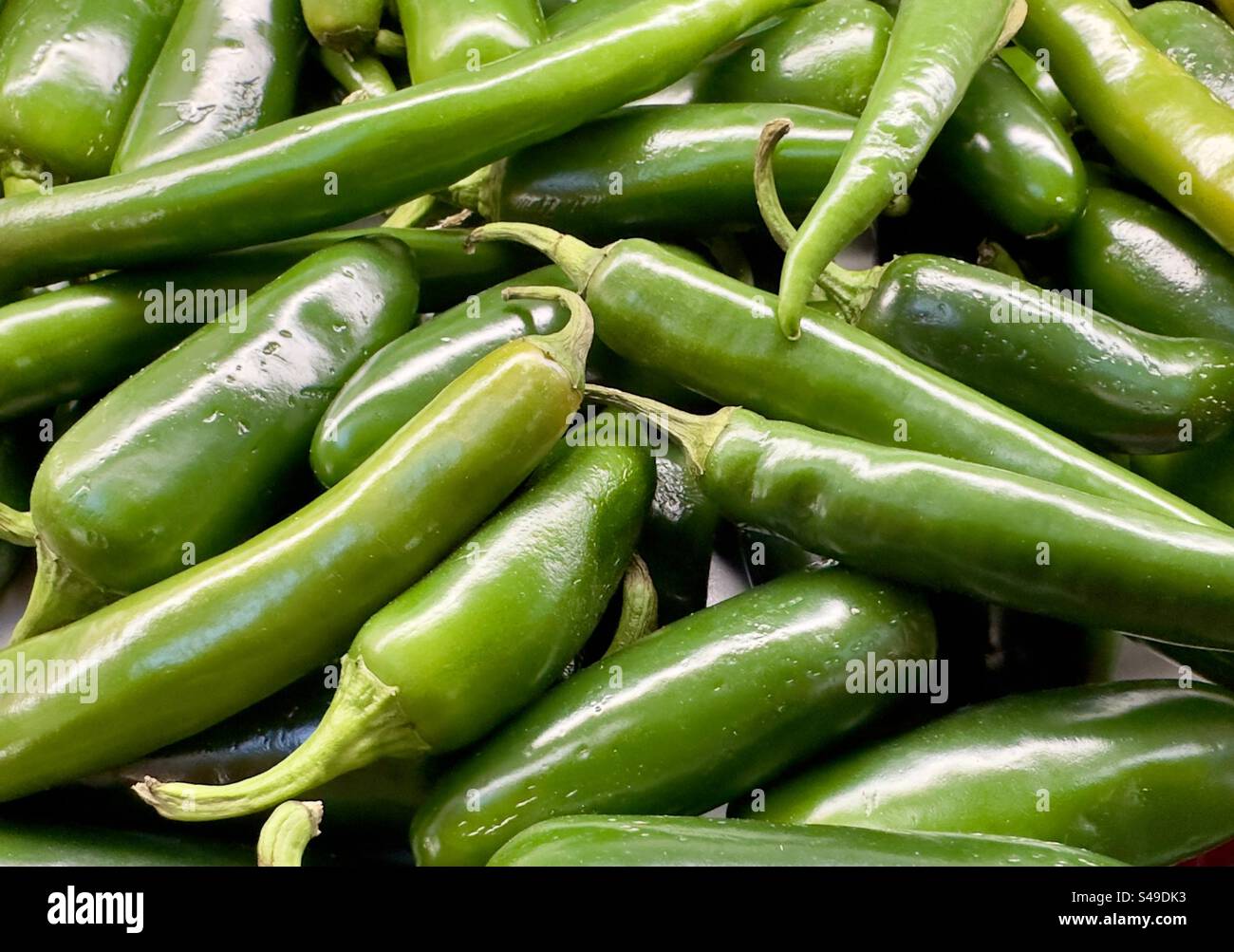 Peperoncini verdi in vendita in un negozio agricolo del Worcestershire Foto Stock