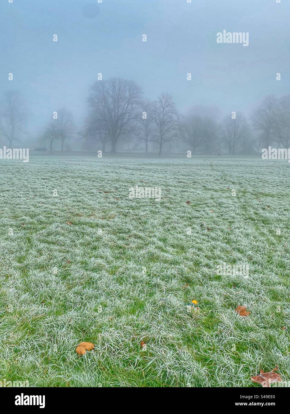 Dank, Misty, giornata invernale sulle Clifton Downs, Bristol, Regno Unito, Inghilterra - Immagine stock catturata con smartphone