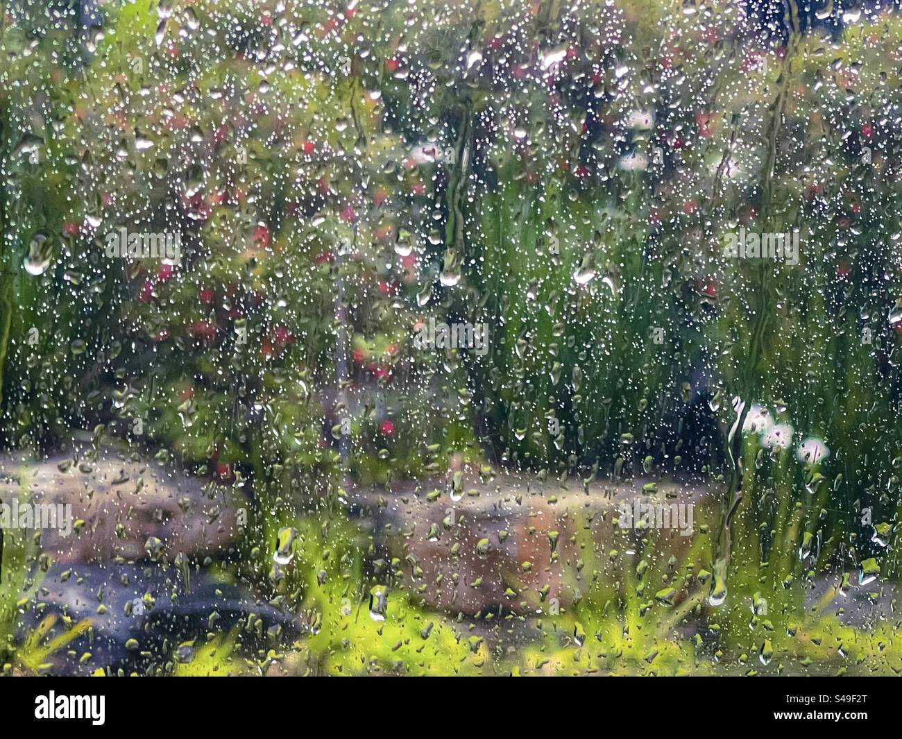 Giardino fiorito in primavera, visto dalle gocce di pioggia sulla finestra bagnata in una mattina di primavera piovosa. Sfondi full frame. Foto Stock