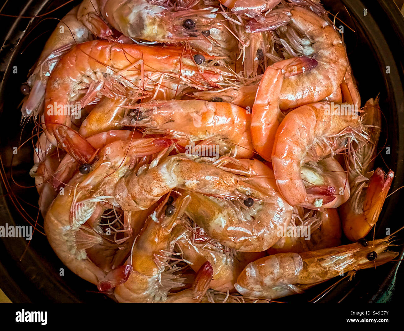 Pentola di gamberi cotti nel guscio Foto Stock