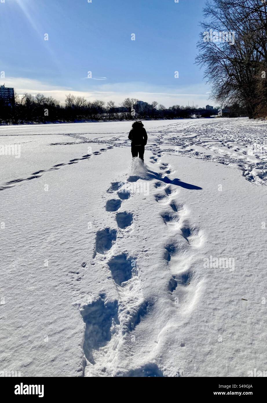 Passeggiate con le racchette da neve sul fiume Ottawa in un giorno d'inverno luminoso. Foto Stock