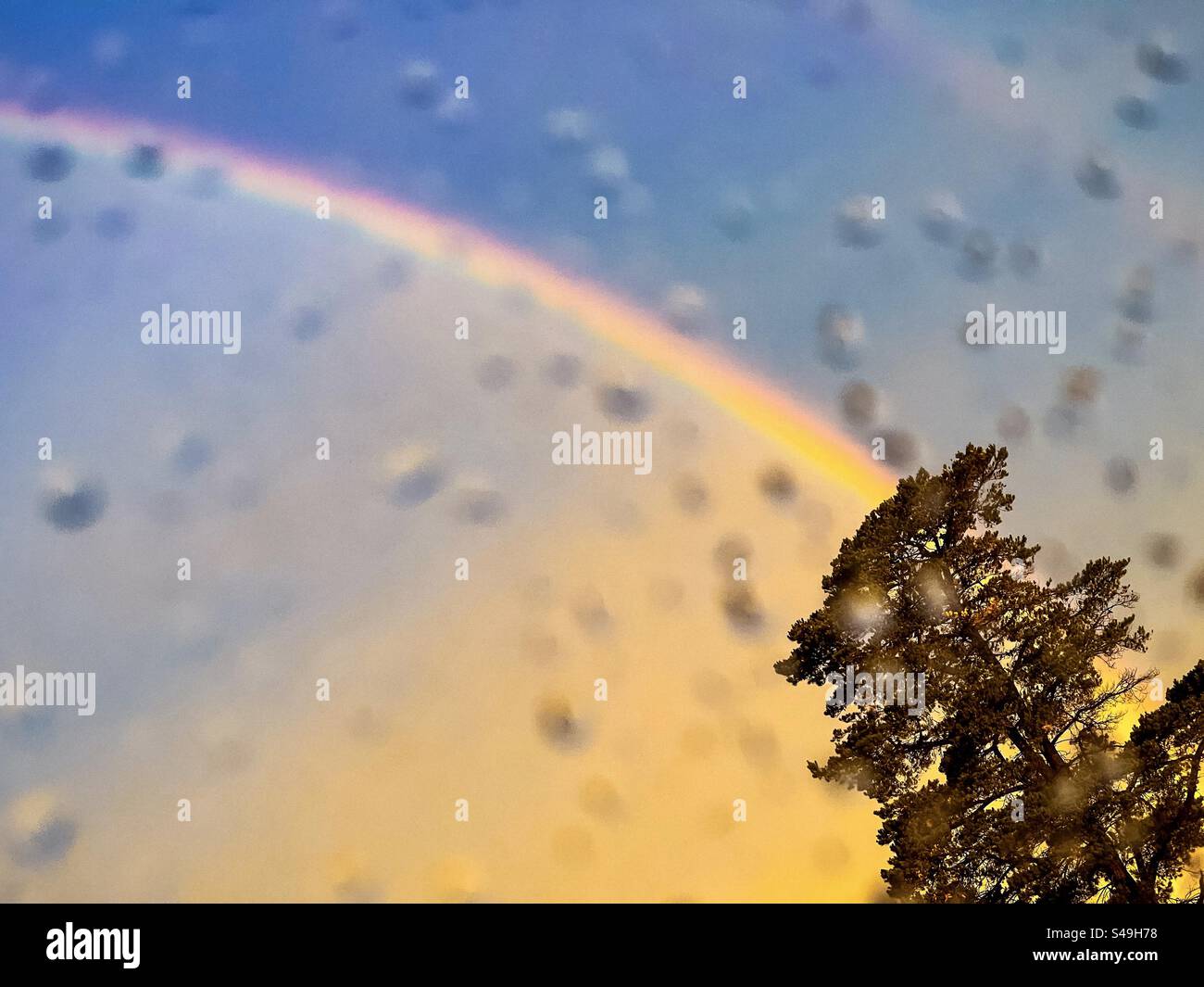 Vista dall'alto dell'arcobaleno dal cielo del tramonto sopra un albero visto attraverso le gocce di pioggia sul vetro bagnato della finestra. Scenics-natura. Foto Stock