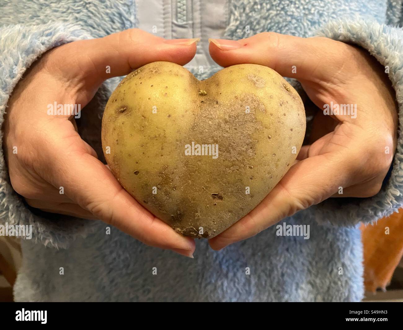 Patata a forma di cuore nelle mani della donna, da vicino Foto Stock