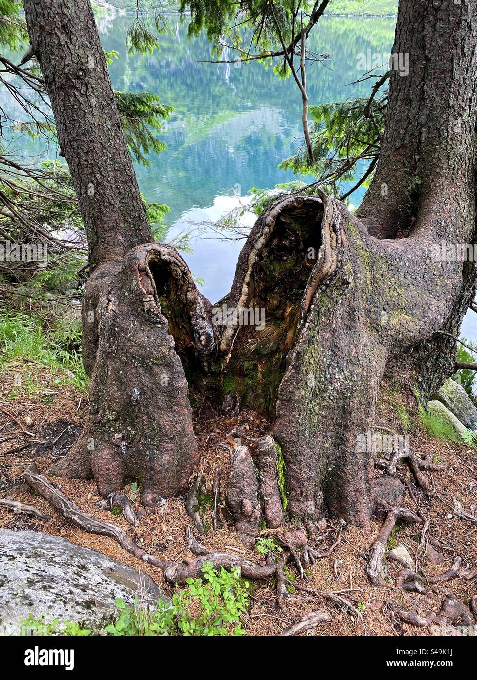 Struttura unica Foto Stock