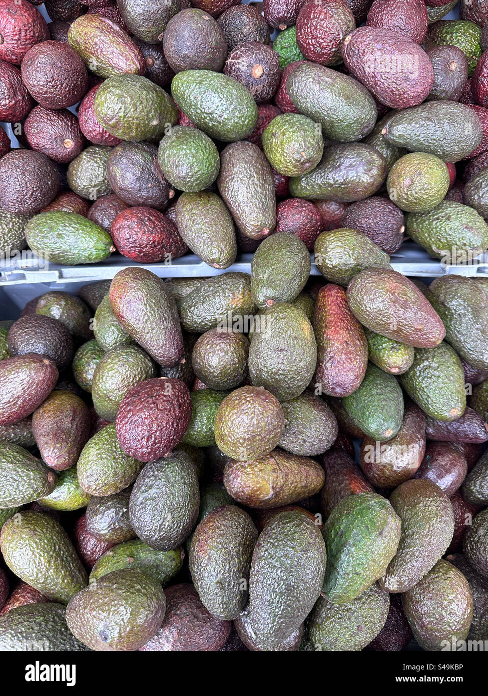 Avocado in un mercato turco a Goteborg, Svezia - Immagine stock catturata con smartphone Avocado in un mercato turco a Goteborg, Svezia - Immagine stock catturata con smartphone