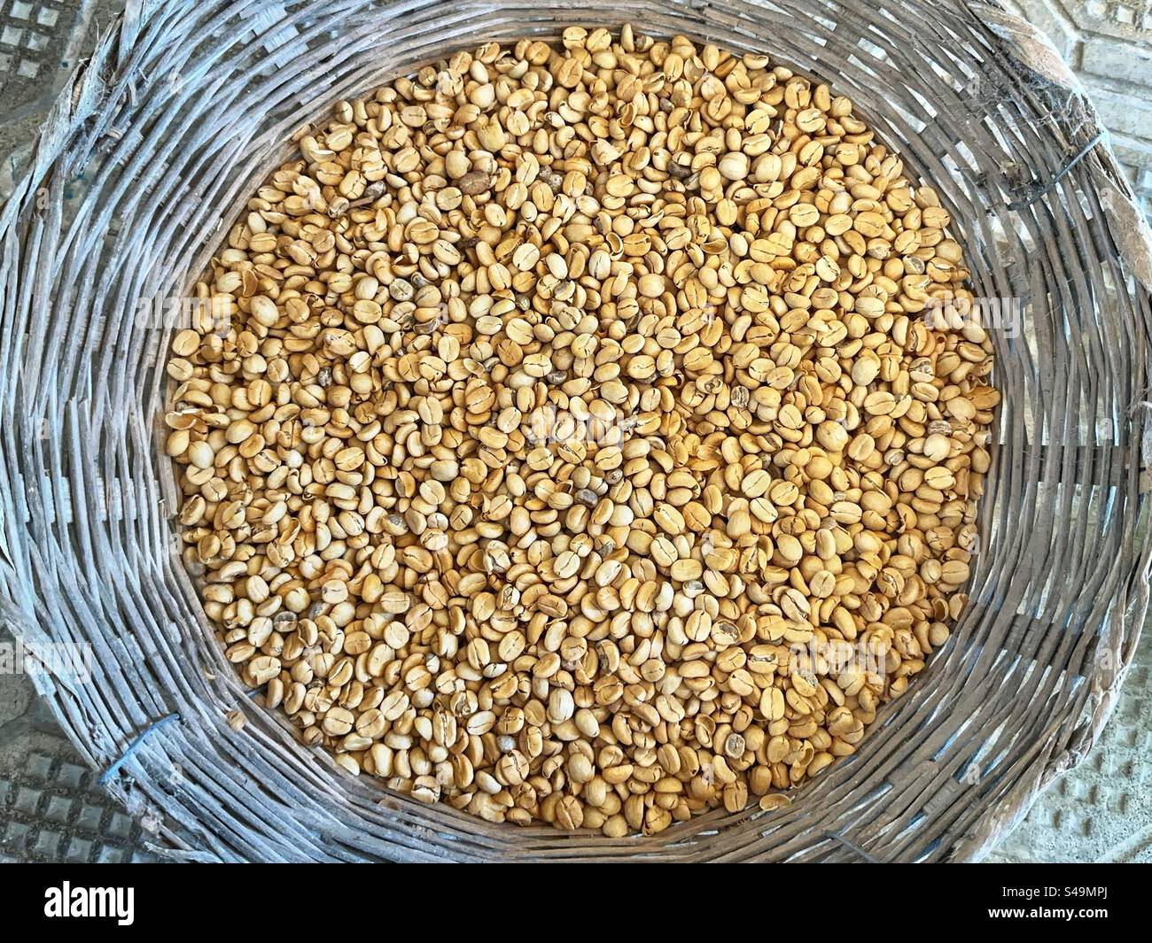 Cestello pieno di chicchi di caffè prima della tostatura. Niente persone. - Immagine stock catturata con smartphone